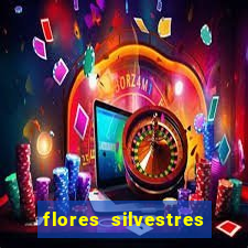 flores silvestres desbravadores desbravadores 25 flores silvestres e seus nomes